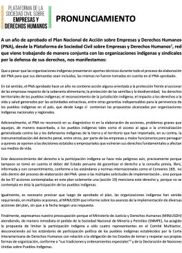 PRONUNCIAMIENTO: Plan Nacional de Acción sobre Empresas y Derechos Humanos