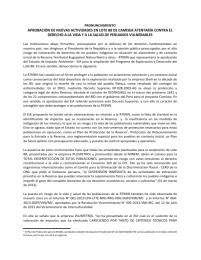Pronunciamiento